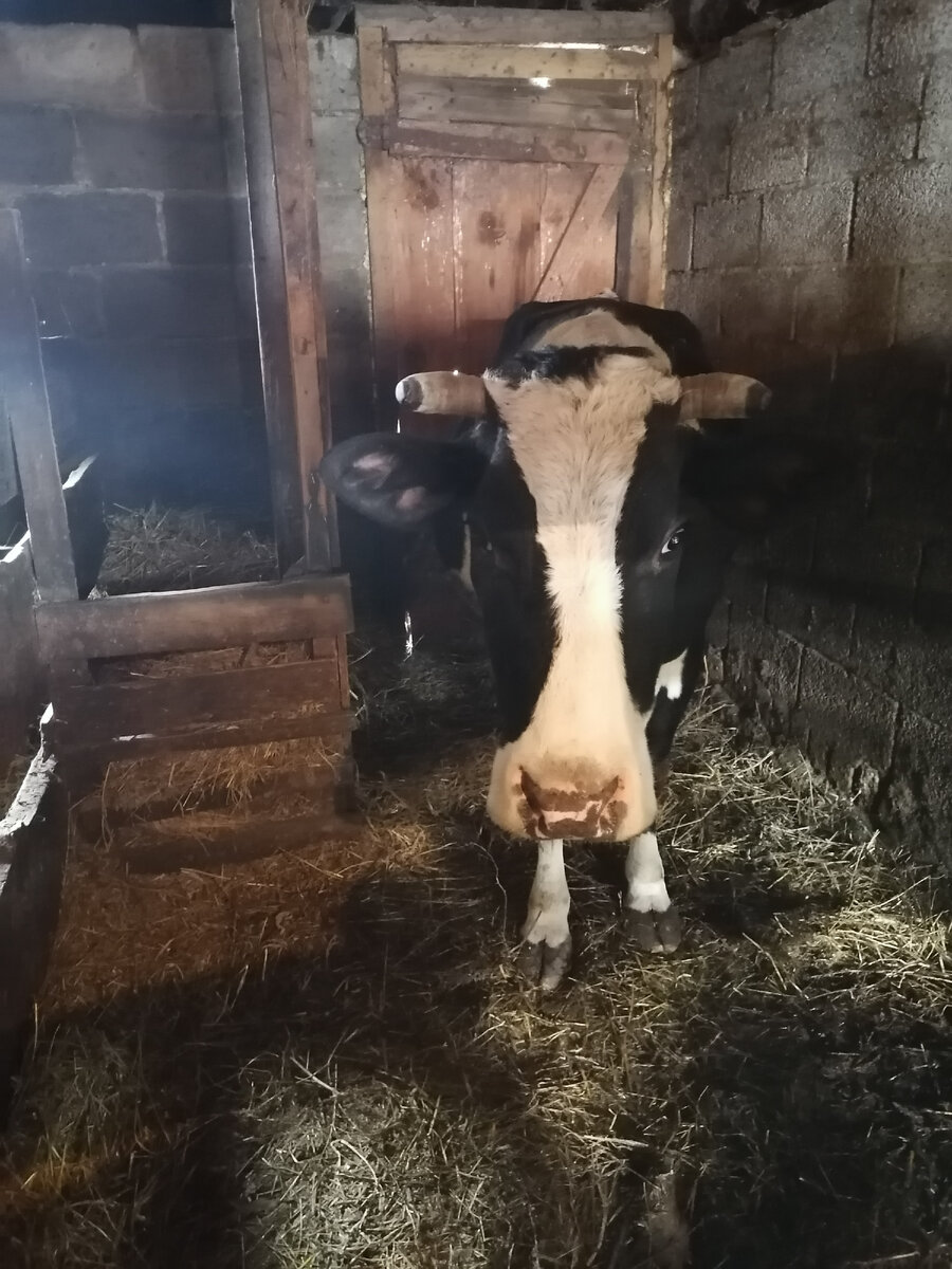 Продолжение заметок о малой родине. Чувашская республика, деревня ...