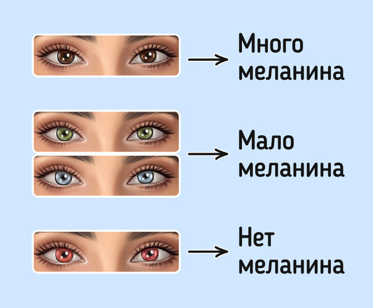 Как правильно поменяться. Оттенки голубых глаз с названиями. Описание голубых глаз. Шанс родиться с голубо-зелеными глазами. Меланин в продуктах которые меняют цвет глаз.