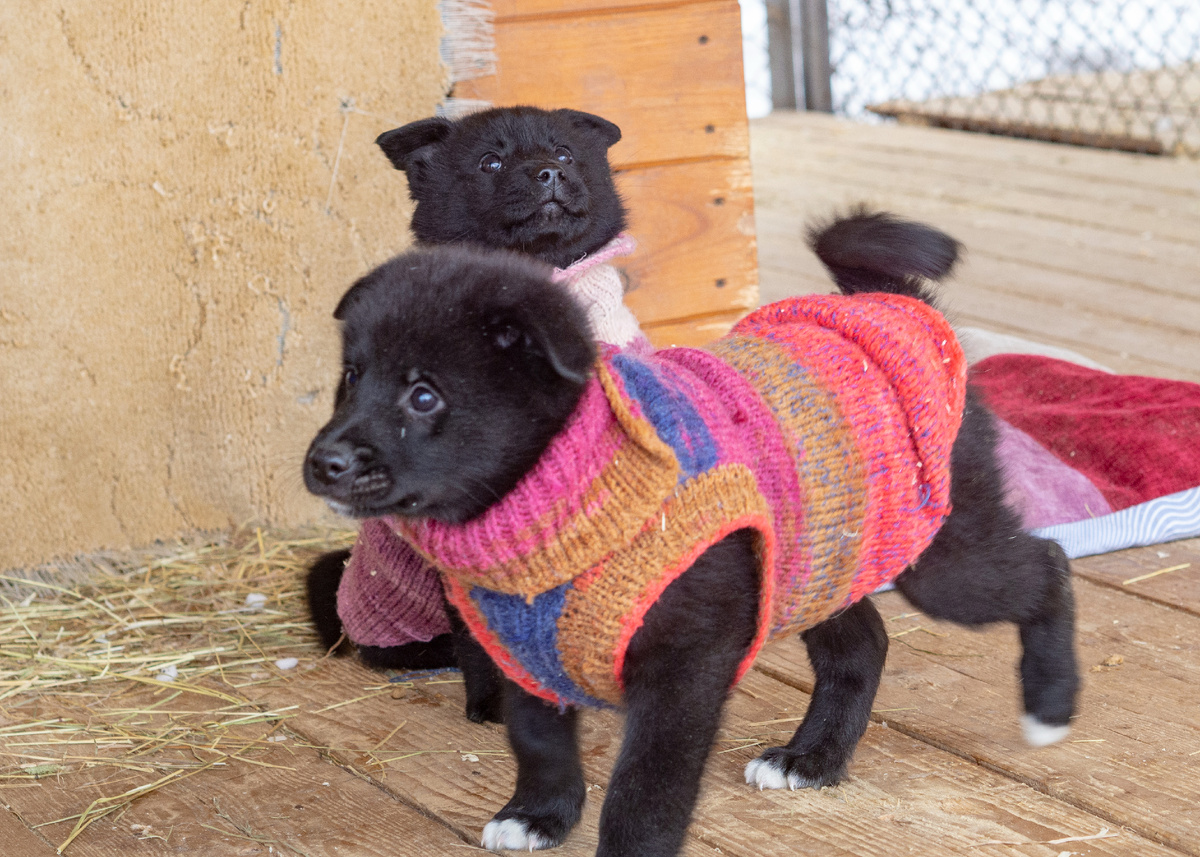 Немного ярко для Левушкина, но очень ему к лицу.