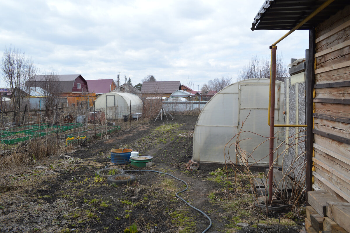 Наш огородик: 2,5 соток. Кто не знает, мы обладаем половиной дома, которая в собственности в черте города и 2,5 сотками огорода, которые в аренде у государства. В доме есть вода и газ. 