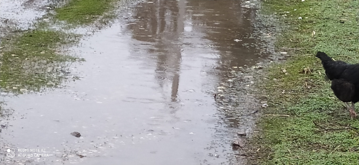 Дорога превратилась в ручей.