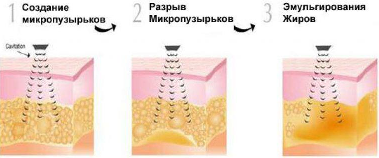 Фотография взята из источника yandex.ru