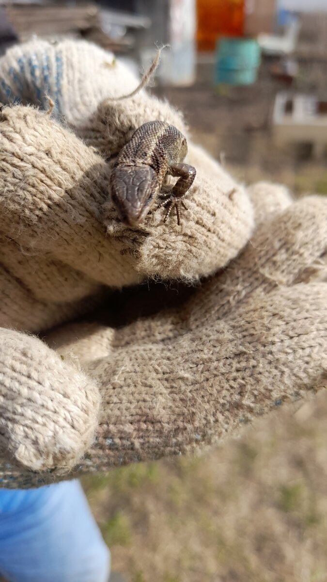 "Доброе утро, мир! Ты прекрасен!" Фото автора