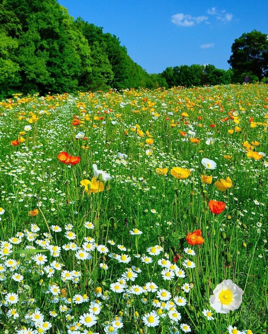 Фото из интернета.