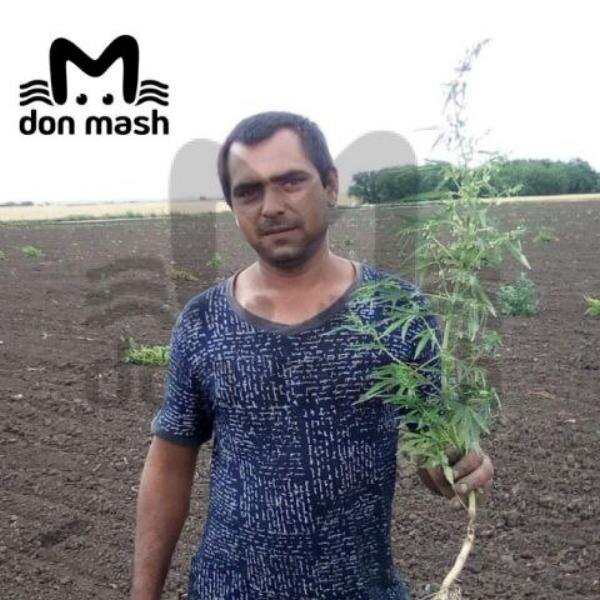 Источник фото: Don Mash 