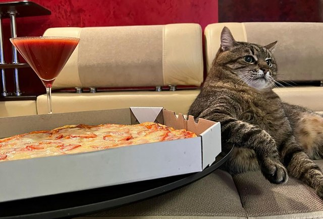 Фото на обложке: loveyoustepan