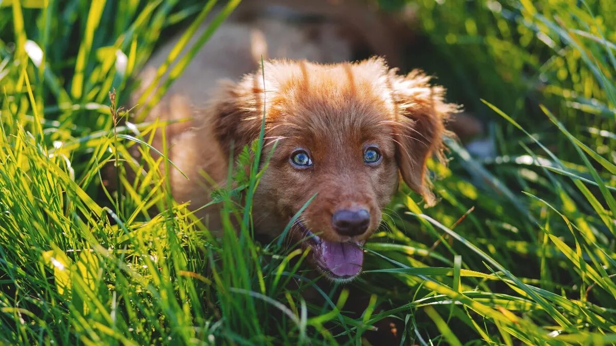 В июне на Урале можно ожидать большого количества облаков. Фото: Pxfuel.com 