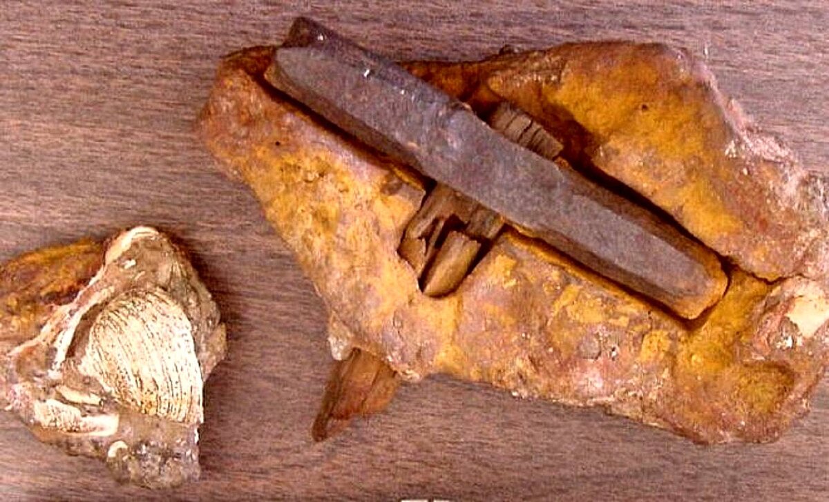 загадочный артефакт из сети