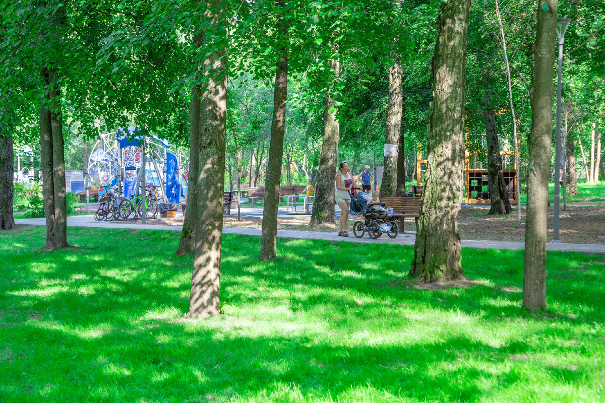 Лето в парке Барыши (П. Юрчик)