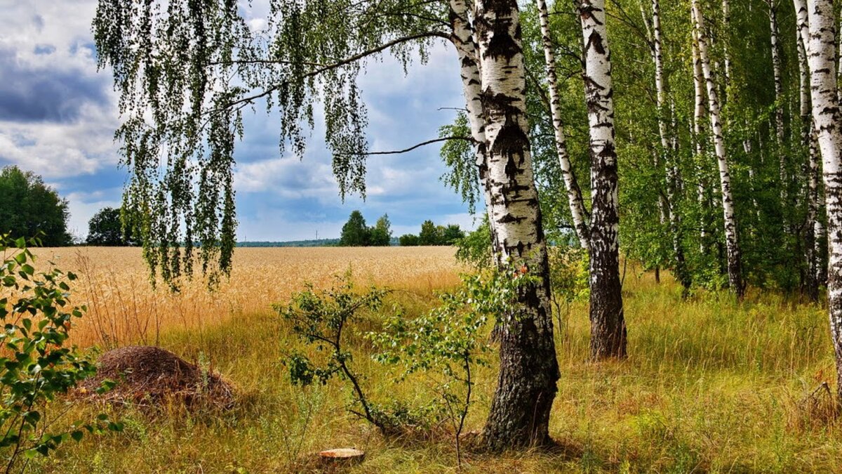Родина - всегда одна, и у российских ученых родина - Россия.