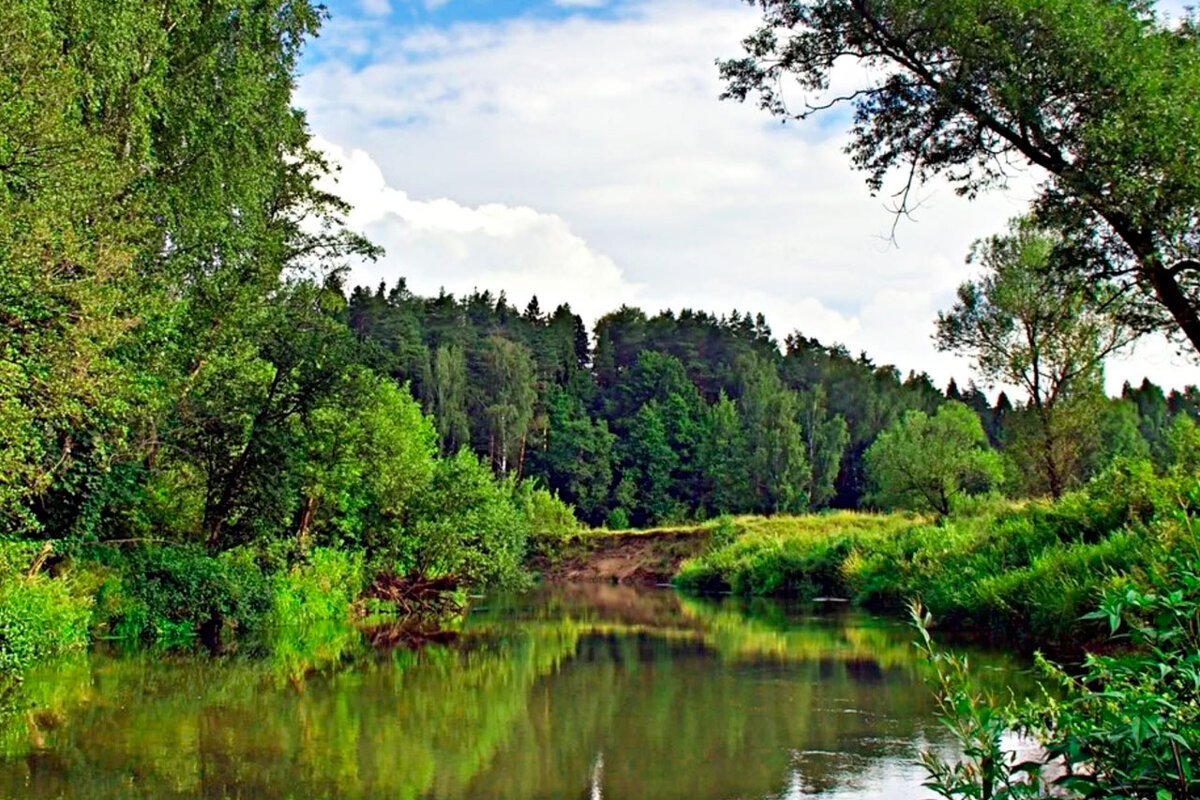 Поход выходного дня на байдарках