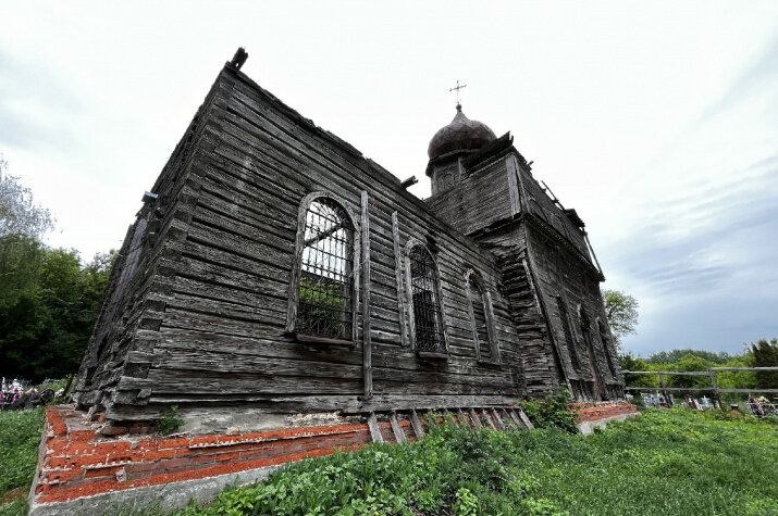 Фото: Вероника Кузнецова/лаборатория дендрохронологии Института географии РАН