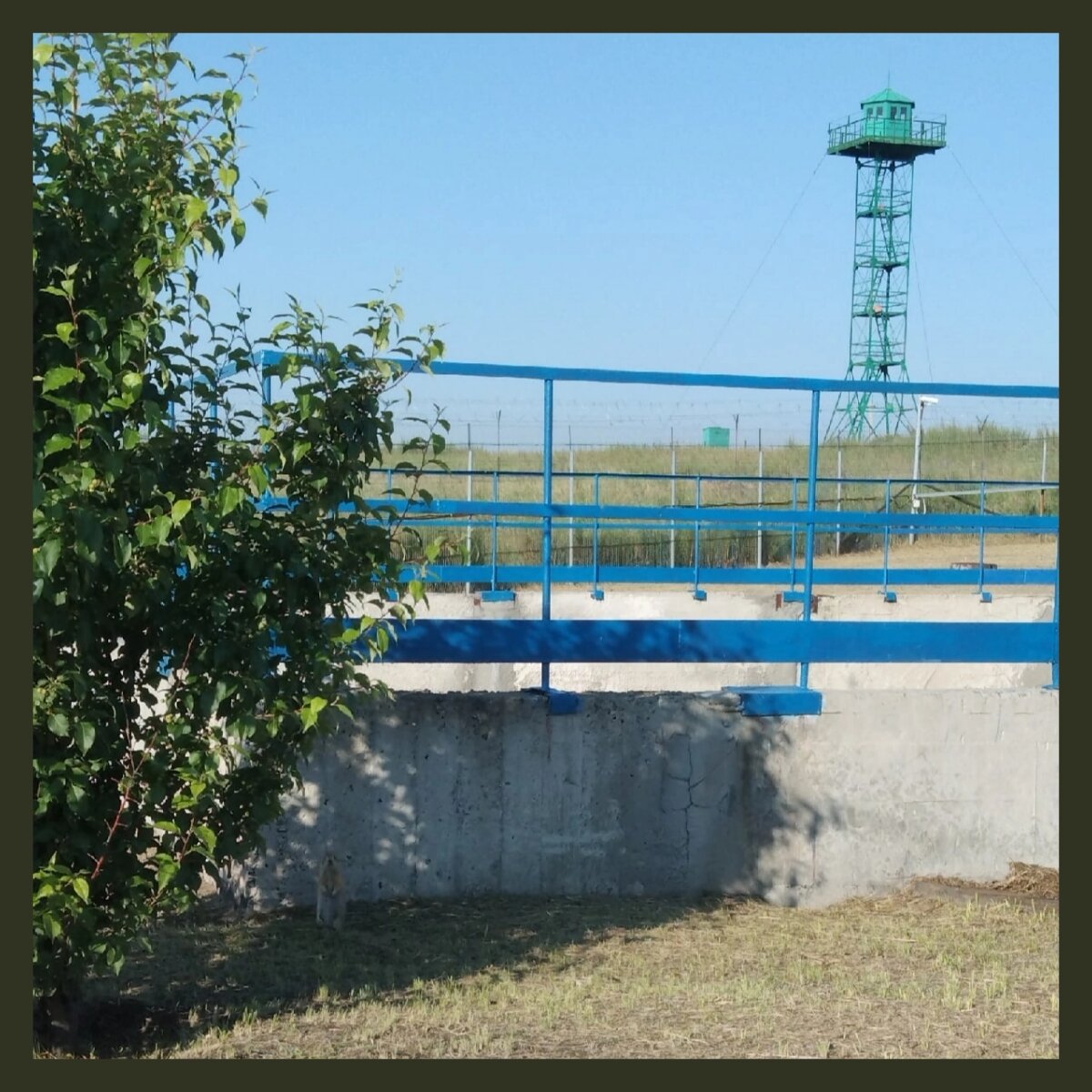 Поэтому рассматривая ситуацию, мы видим то, что привыкли и хотим видеть, а не то, что нам хотят показать другие люди. Как на этом фото. Многие просто не увидят того, чем на самом деле мы хотим поделиться.