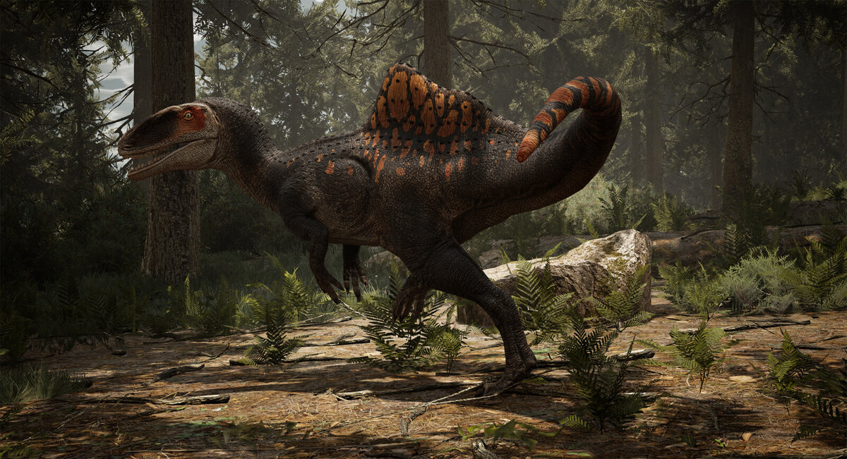 Самые странные!