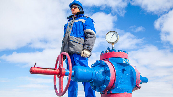 ФОТО: EVGENII MITROSHIN/SHUTTERSTOCK.COM