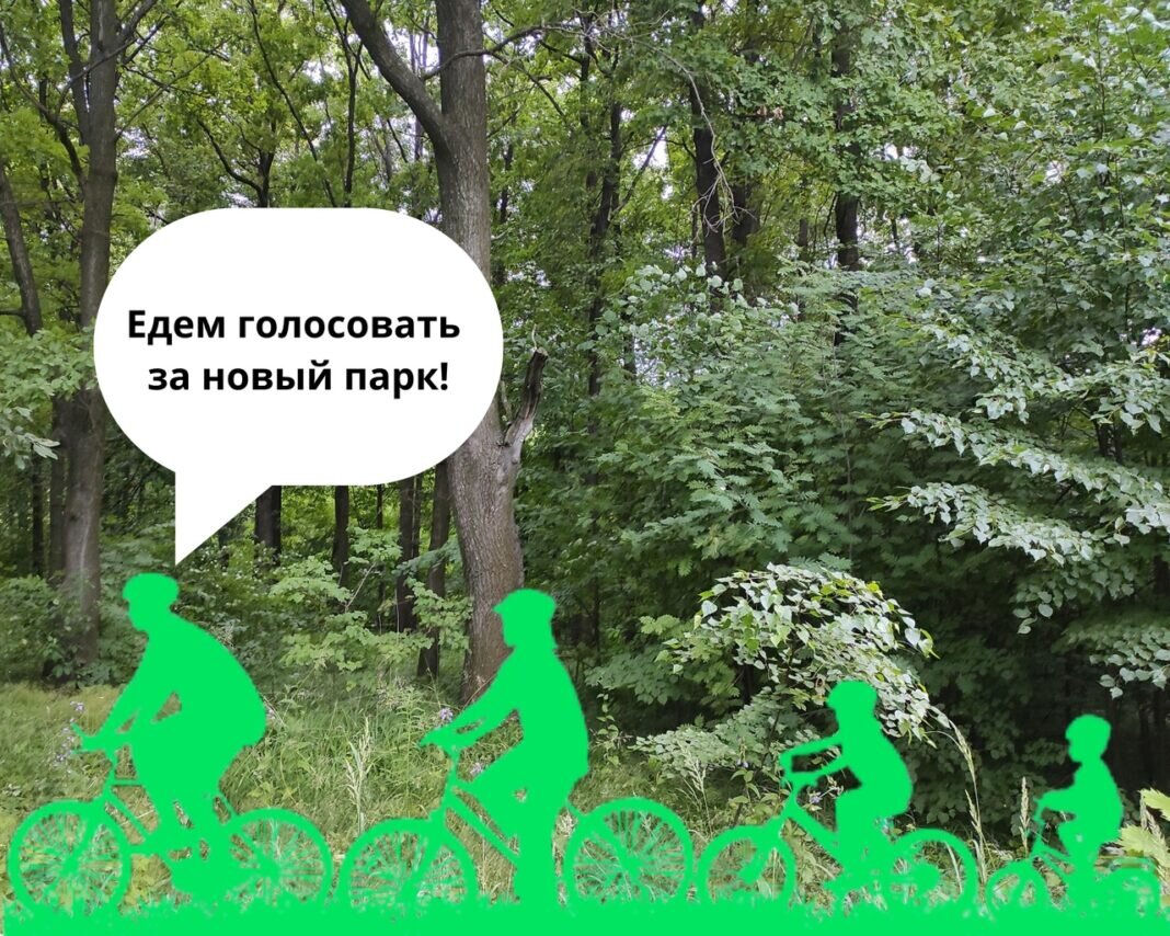    Фото из группы ЭРА (Экологический Рязанский Альянс) ВКонтакте