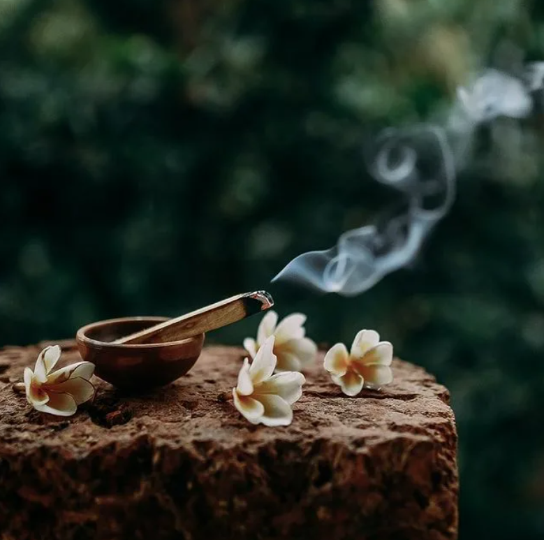 Изображение носит ознакомительный характер.