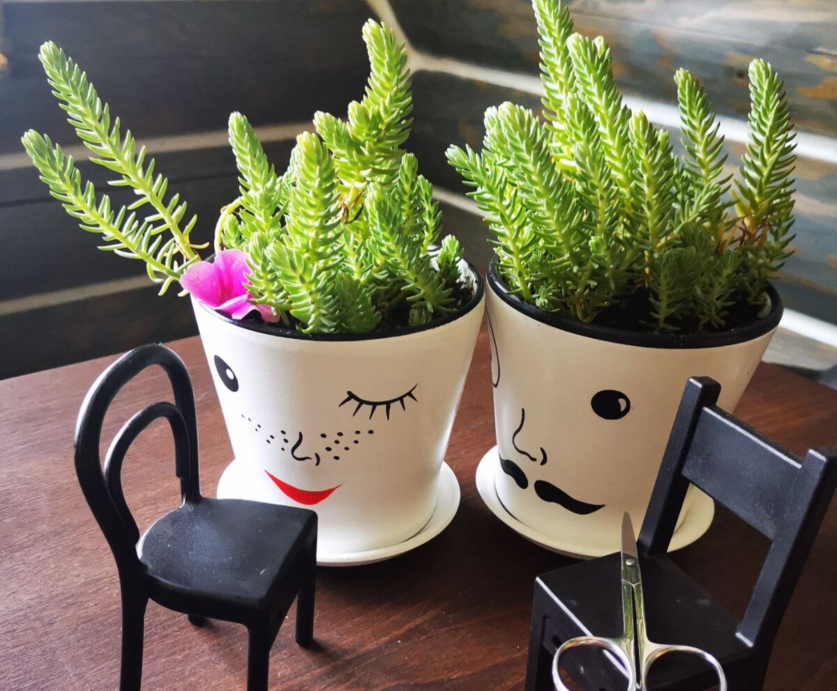 из личных фото автора