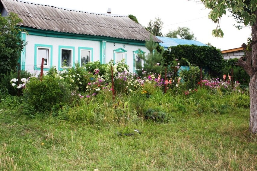 Решила украсить этот пост фотографиями города, улицы которого мы убирали. Фото 2011 года