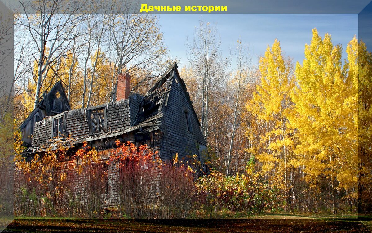 Дача поздней осенью фото Дачный сезон подходит к концу: ответы на интересные вопросы начинающих дачников 