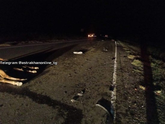     фото: Астрахань онлайн