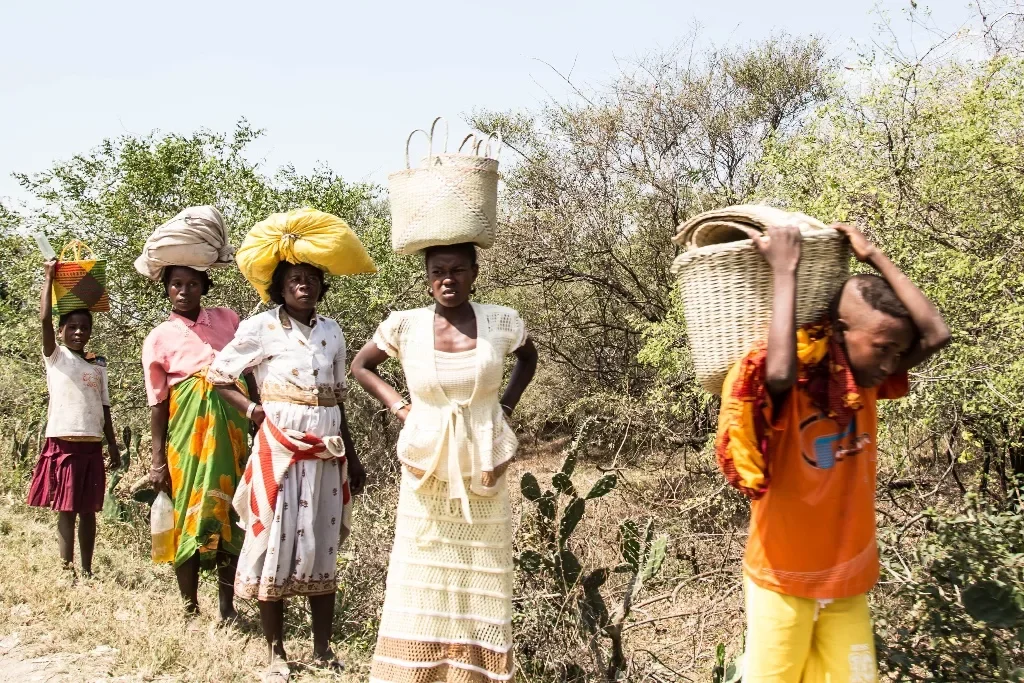 мальгаши раса. остров мадагаскар жители. остров мадагаскар жители. народы мадагаскара и их основные занятия. народы мадагаскара и их основные занятия.