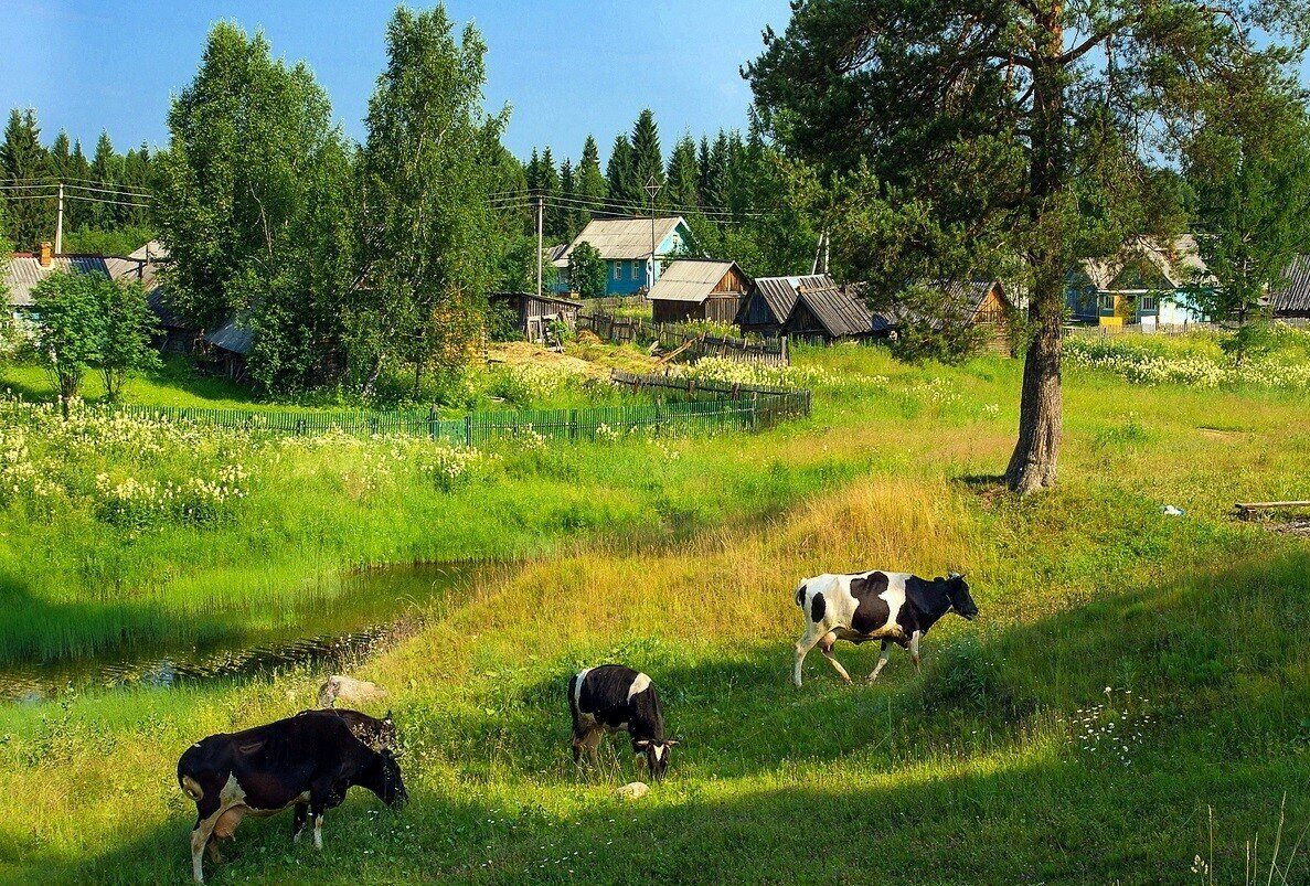 Яндекс.Картинки