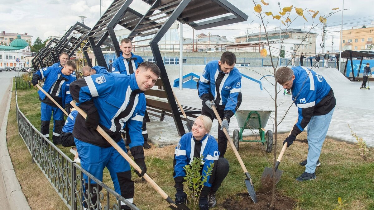     Предприятие высадило вокруг спортивного объекта липы и барбарис.
