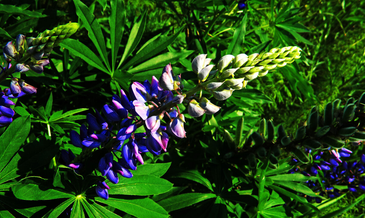 фото автора канала