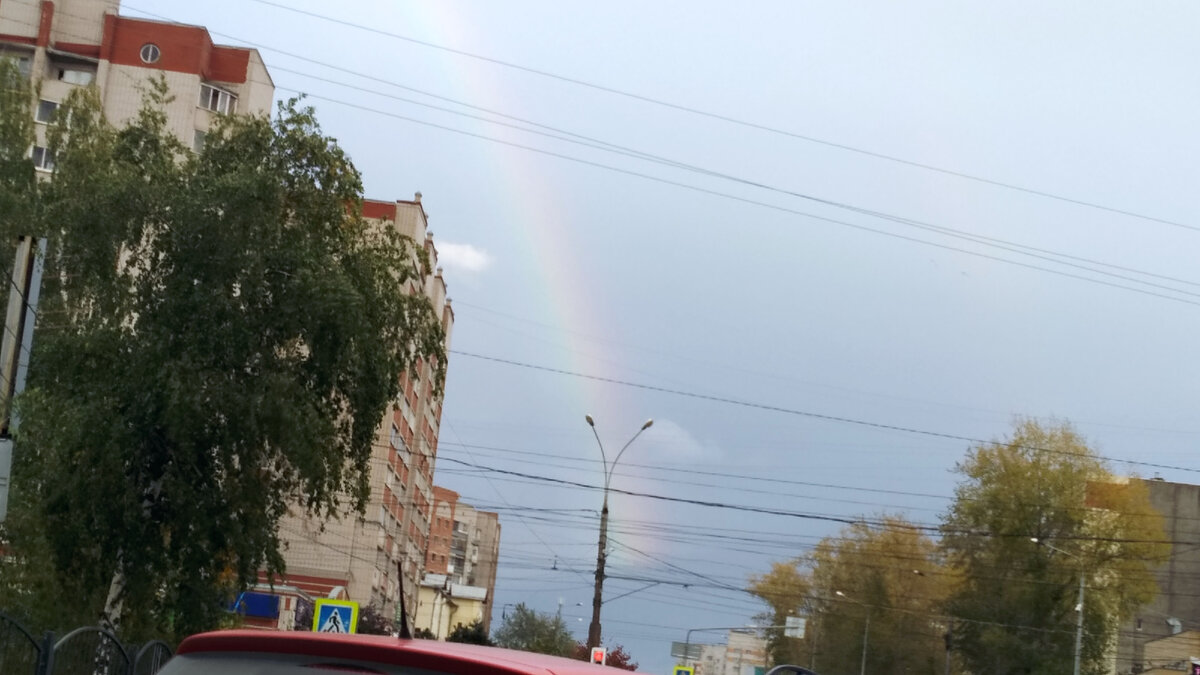 Фото сделано собственноручно автором