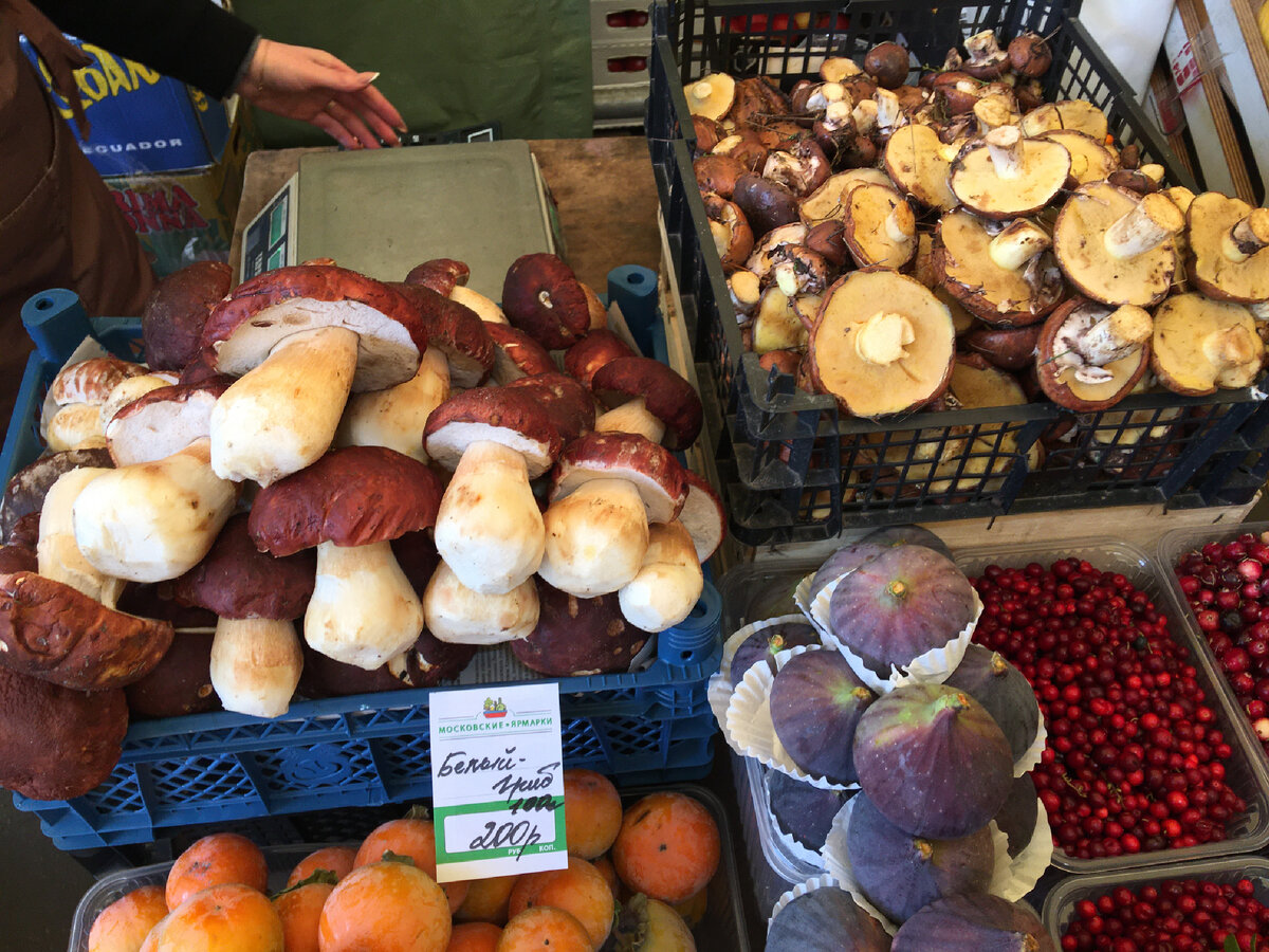 Москва 23.09.2022, идеального качества боровики по 2000 тр за кило….