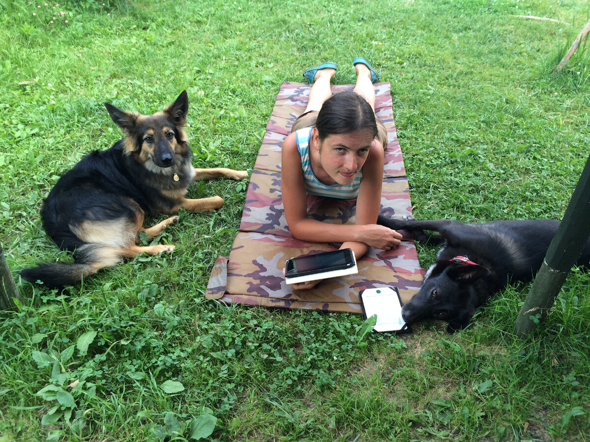 Сая, Даша и Фиби, 2016 год. Ужа заметно отъелись, особенно Сая.