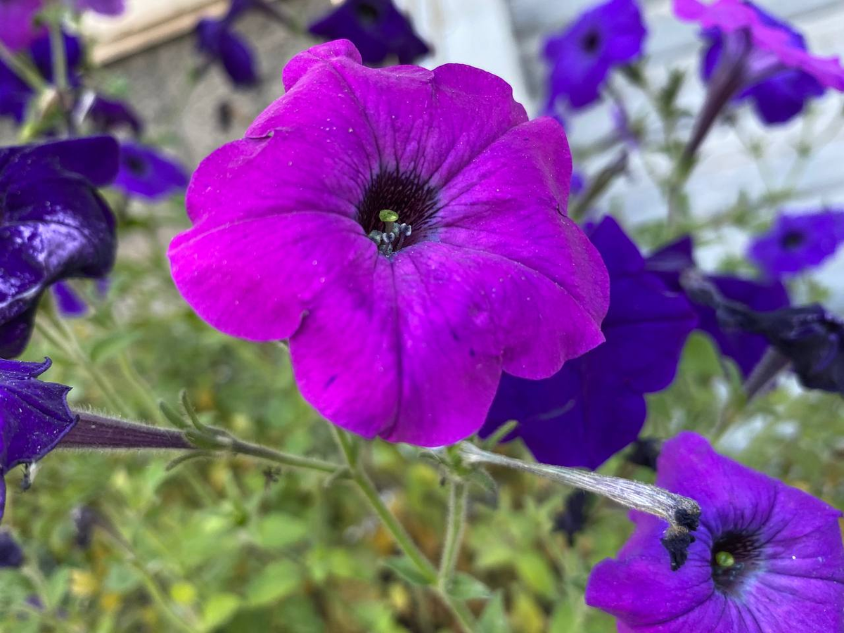 личное