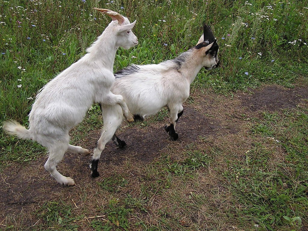 Фото с сайта Яндекс картинки. 