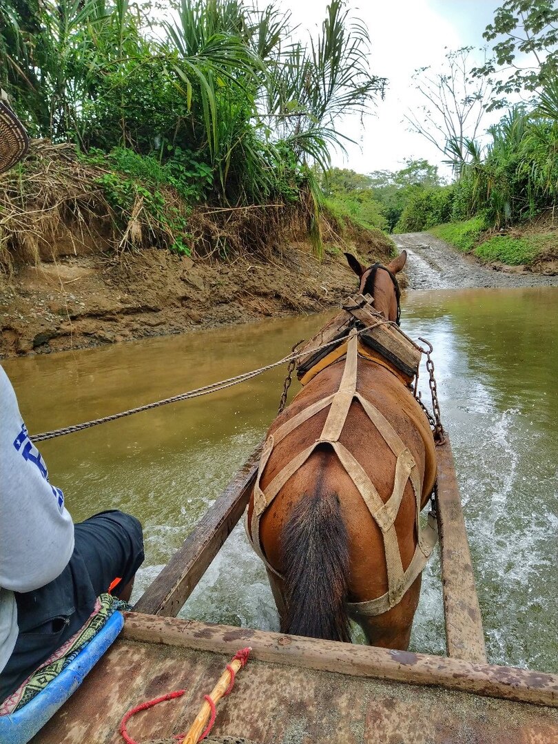 Застопленная телега, на которой мы переезжаем реку