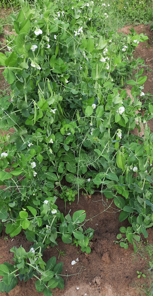 Фото из личного архива.