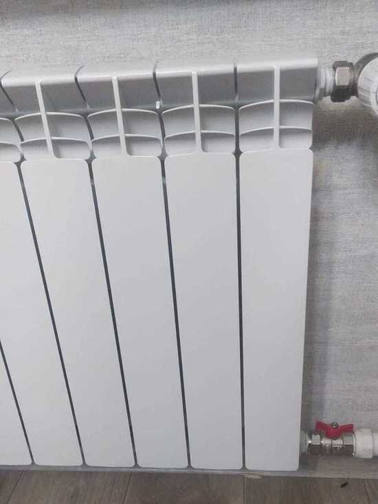     Фото: Валерия Ким / "МК в Омске"