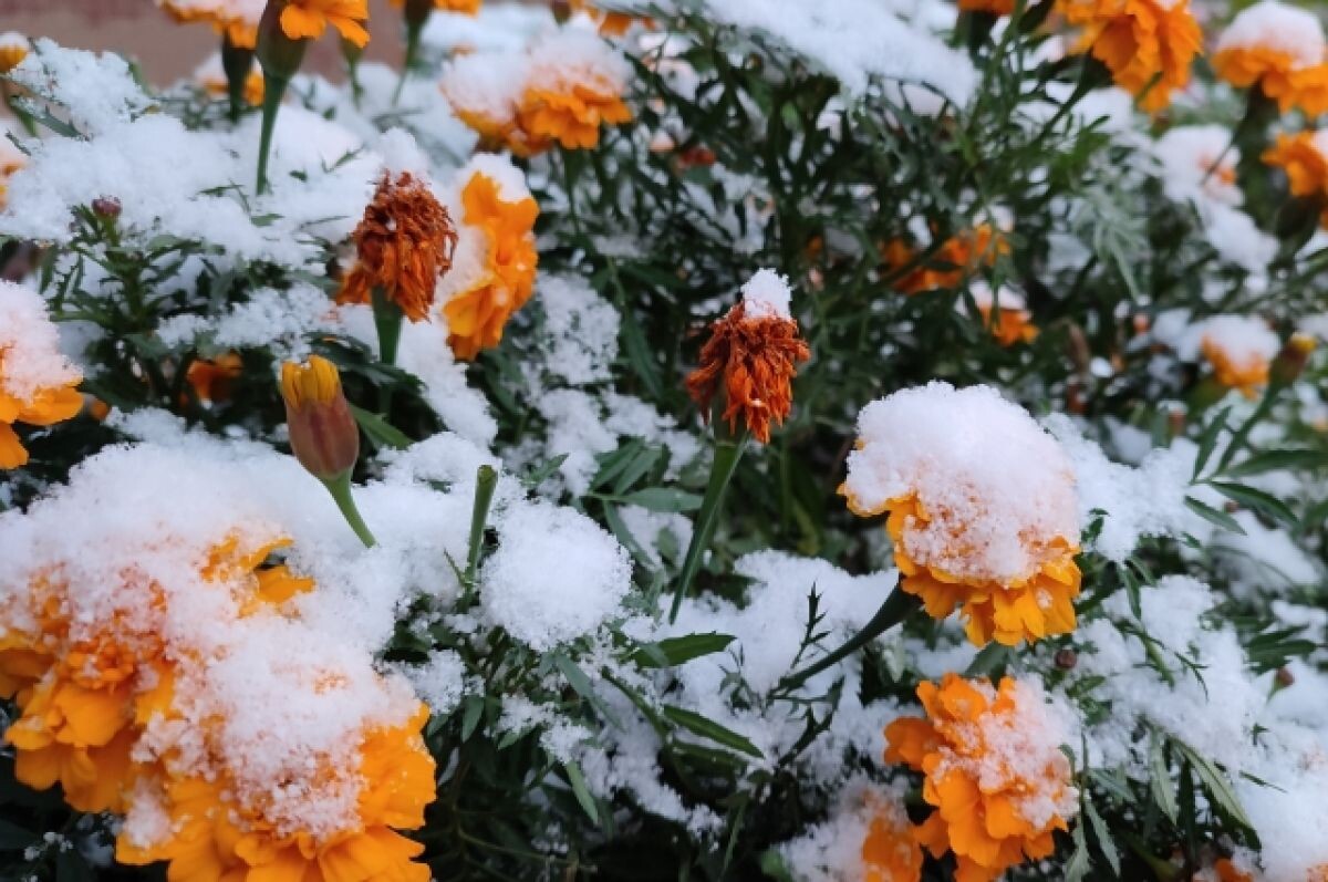    Антициклон из Сибири принёс в Заполярье зимние холода