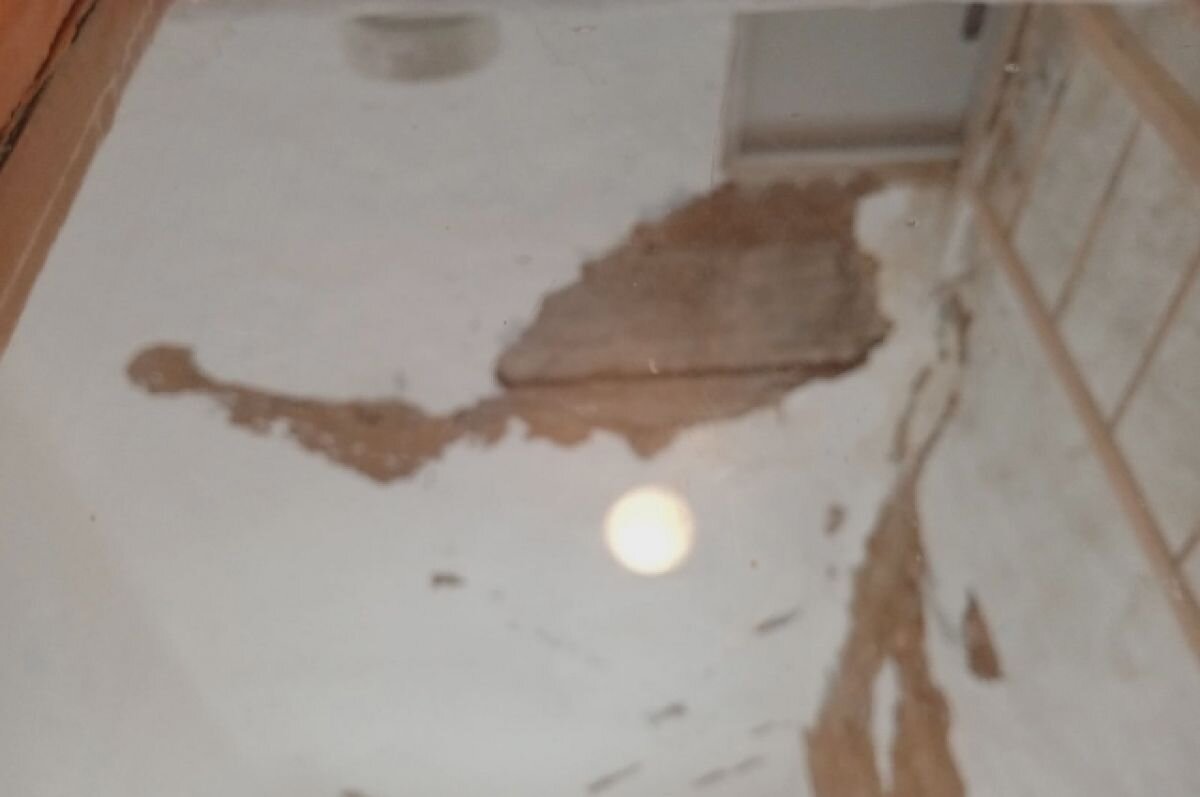    Жительница Владимира напрасно судилась с соседями из-за упавшей штукатурки