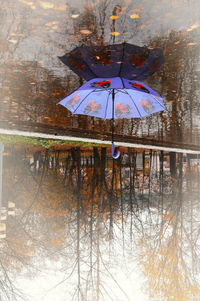 Весенний зонтик. Осень дождь. Осень зонтик. Зонтик осенью. Осенний зонт.