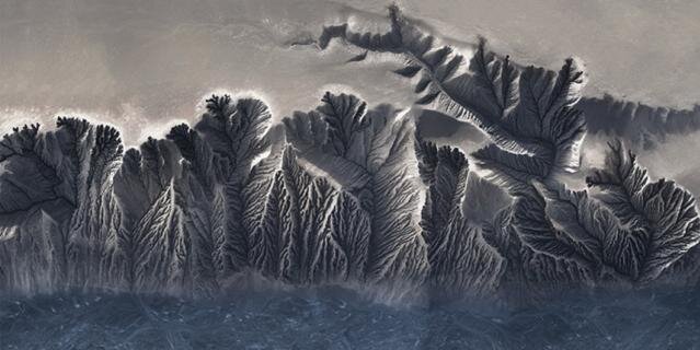    Фото: Cortesia.