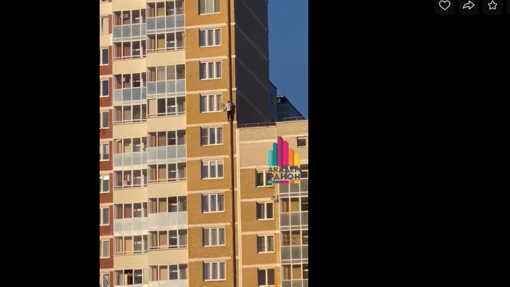    Фото: скрин с видео