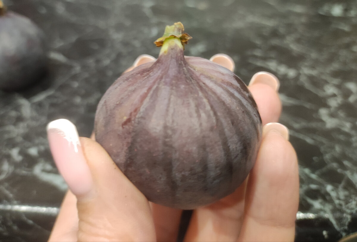 Фото автора, инжир