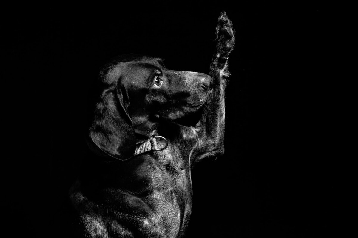 Fabian Gieske/unsplash.com