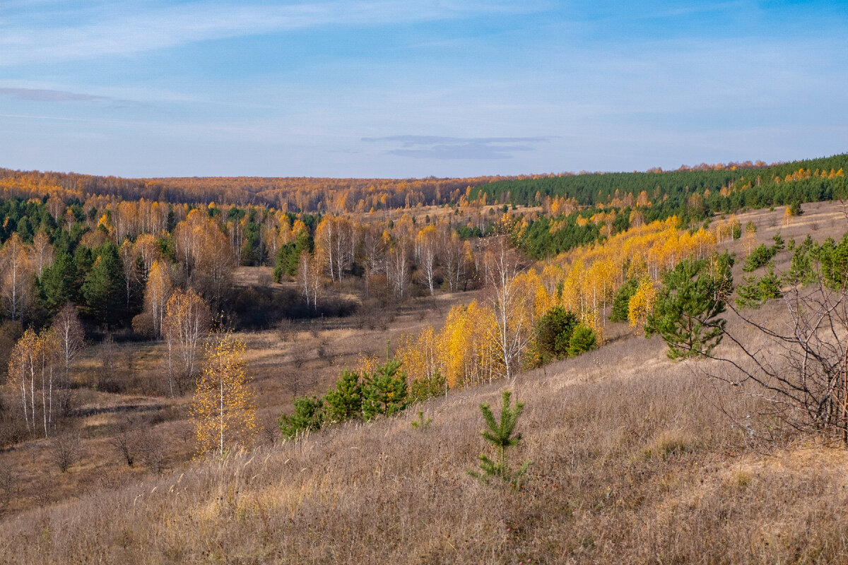 Осенние пейзажи (фото автора). Листайте дальше ->