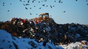    Фото: ru.ecowe.org Святослав Лавренко
