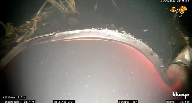     Источник фото: газета Expressen