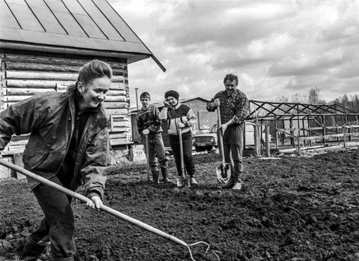 Покупка: земельный участок в Новосибирске