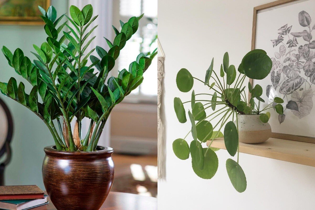       Fermoved.ru/соцсети