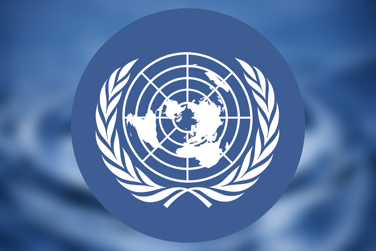 Эмблема ООН. Эмблема ООН фото. ООН вектор.